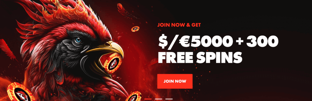 rooster.bet welcome bonus uae online casinos